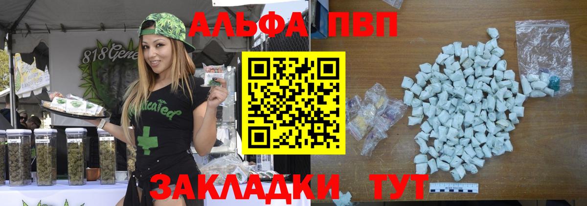 APVP СК Городец