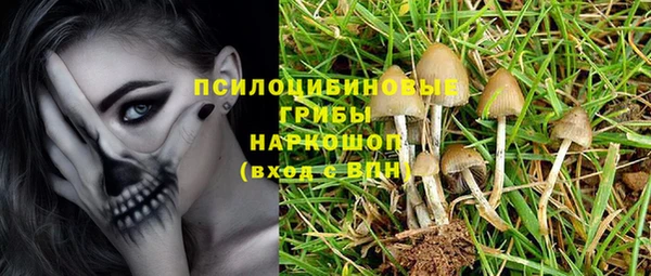 мяу мяу мука Гусь-Хрустальный
