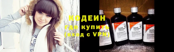 мяу мяу мука Гусь-Хрустальный