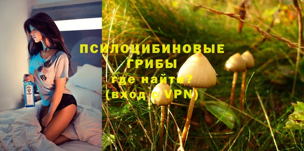 мяу мяу мука Гусь-Хрустальный
