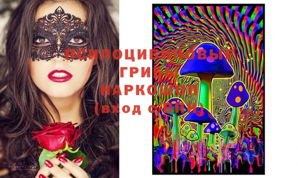 прущая мука Гусев