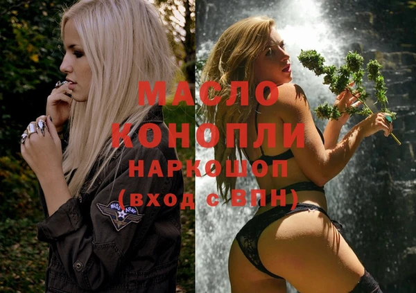 мяу мяу мука Гусь-Хрустальный
