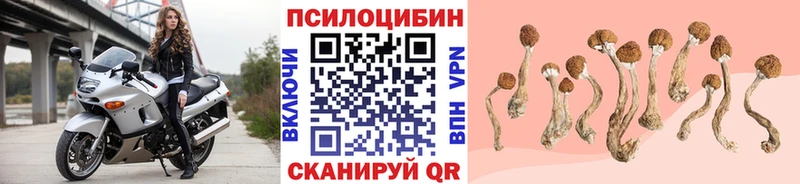 Галлюциногенные грибы Magic Shrooms  где найти   Городец 